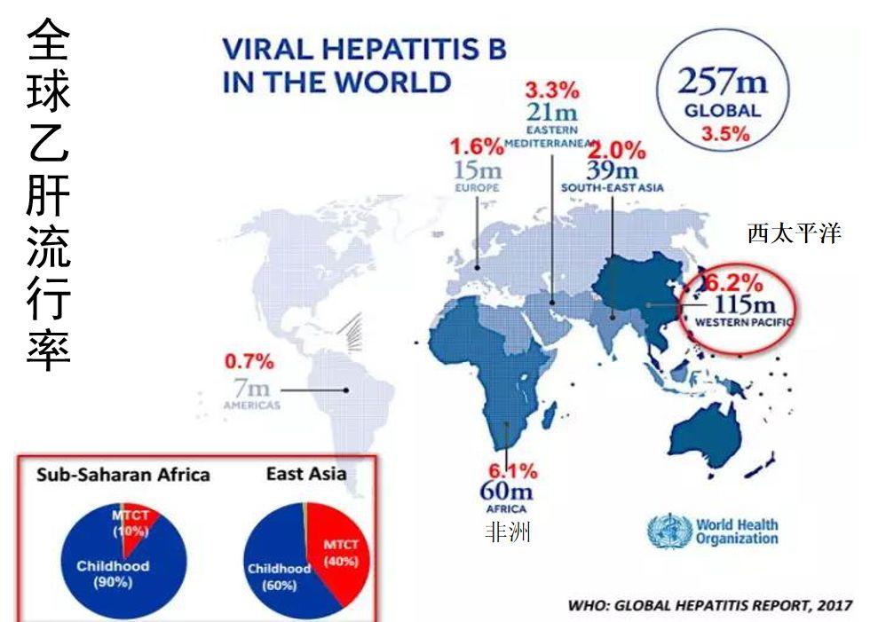 「肝胆好医生」南月敏教授-乙肝：可防、可控、不可怕