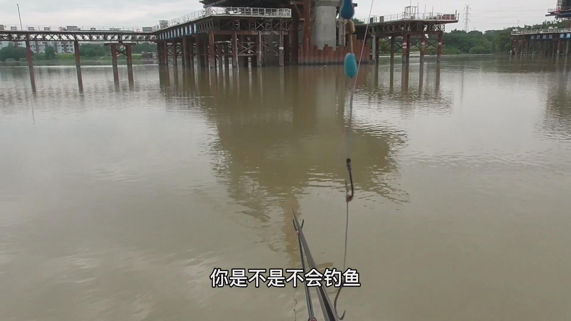 子线短了怎么调漂,钓鱼高手支招短子线的7种用法