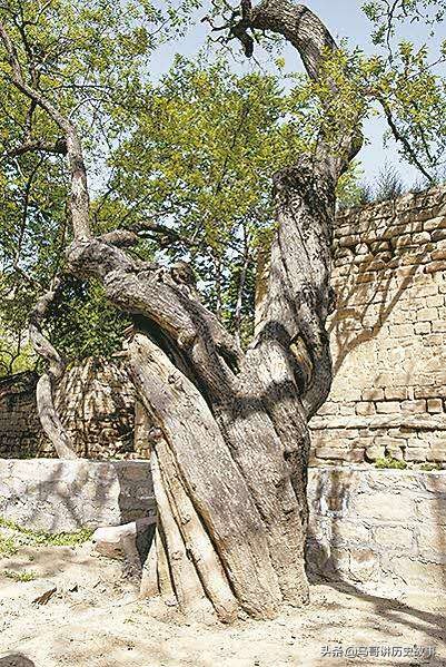 娣囧幙瀵掓硥鏅偣,娣囧幙鏈濇瓕瀵掓硥鍦板潃