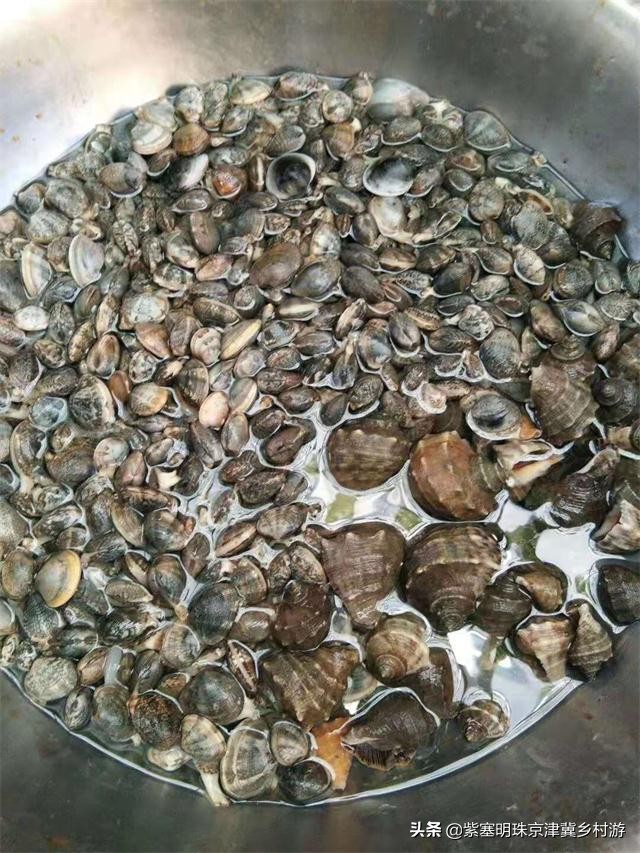 唐山乐亭旅游攻略一日游多少钱,唐山旅游乐亭祥云岛景点大全