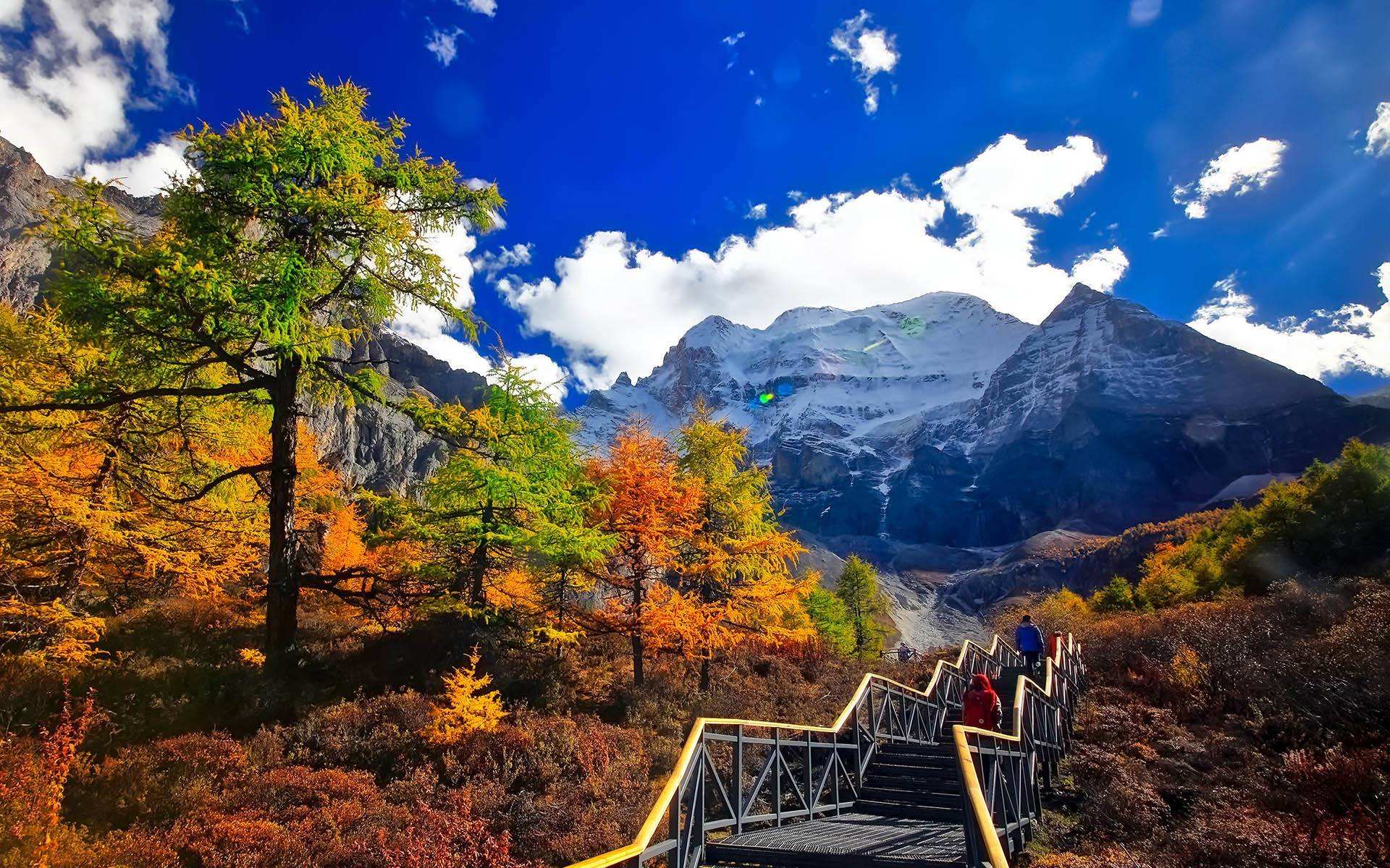 成都到稻城亚丁自驾路险峻么,成都到稻城亚丁路线攻略图