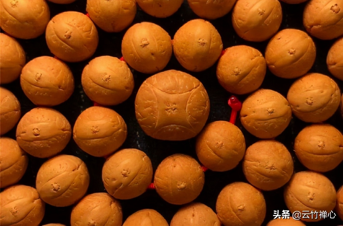 凤眼菩提龙眼贵还是凤眼贵,凤眼菩提为什么好看