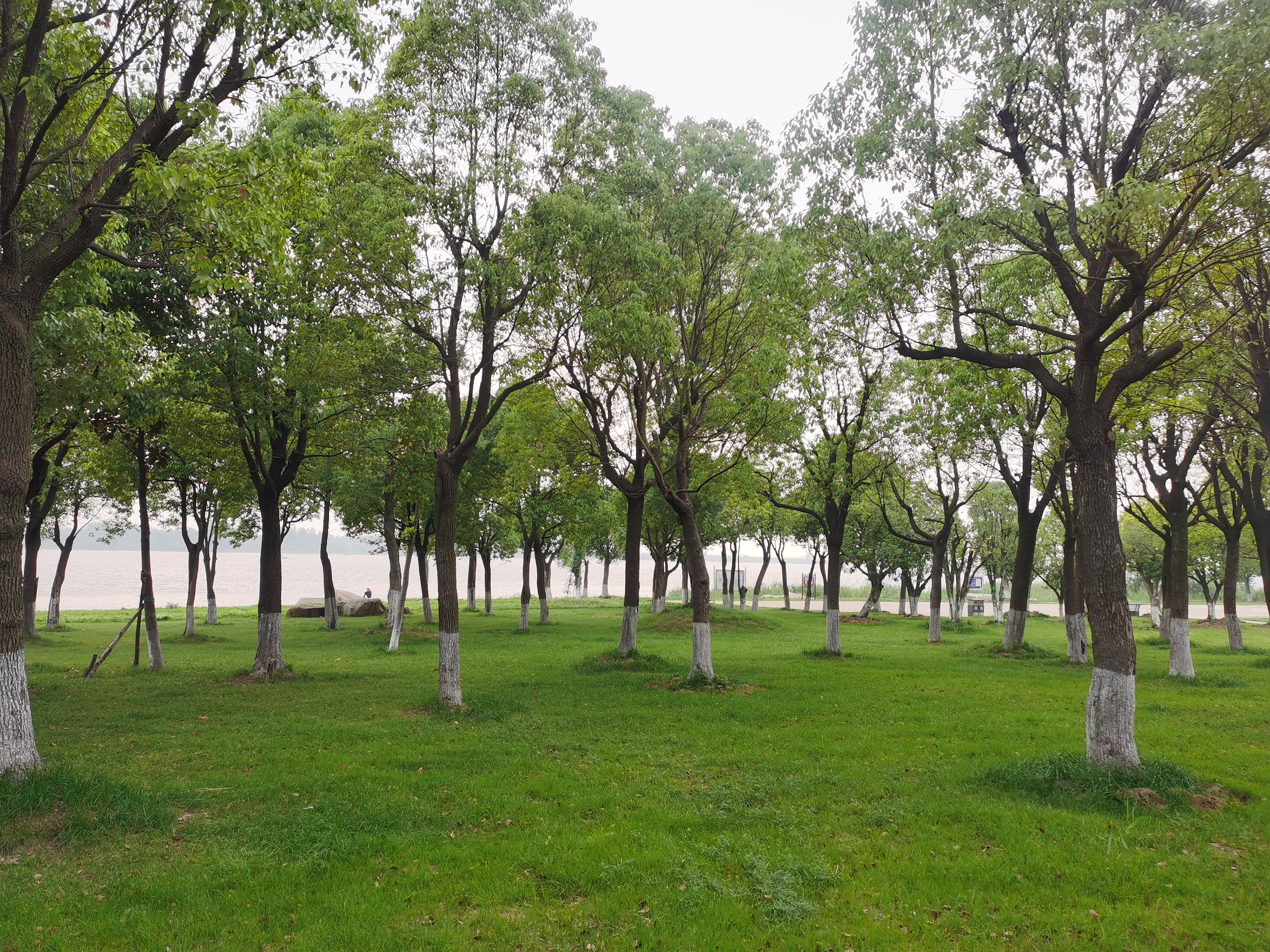 曾经的脏乱差变成了现在的新景观,从面目全非到焕然一新