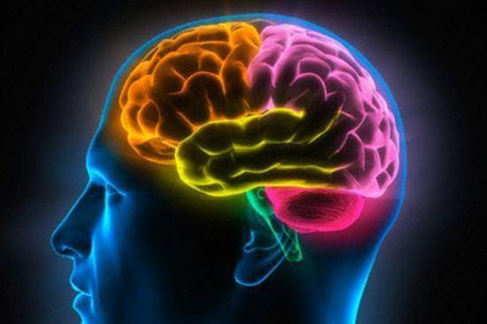 人脑的记忆量有多大,为什么人脑储存量那么大
