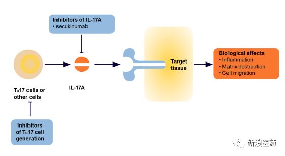 印度进口诺华苏金单抗价格,苏金单抗在哪个国家上市