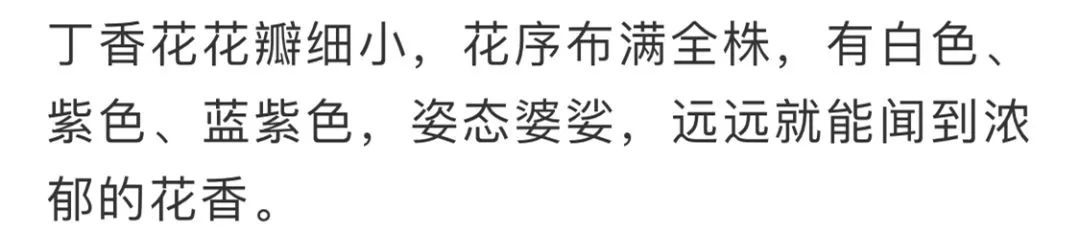 看到花的时候，不知是什么花？那就收下这份百花图谱