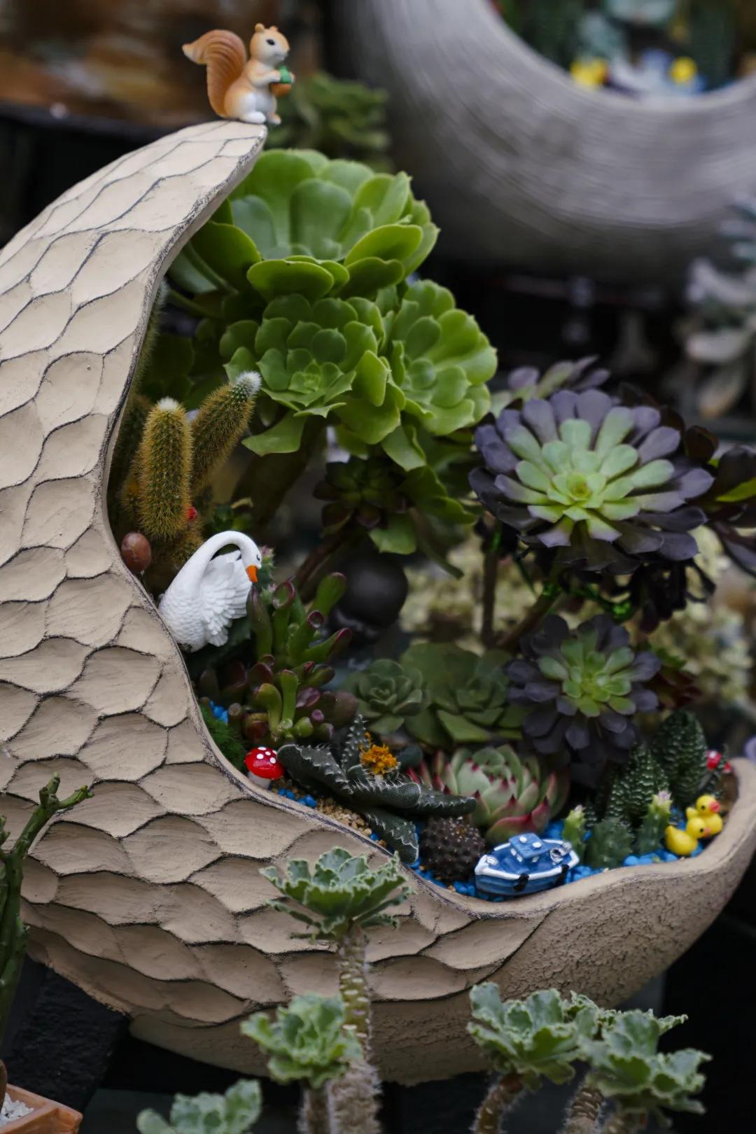 乌鲁木齐花市在哪里光明路附近,乌鲁木齐的花市在哪里