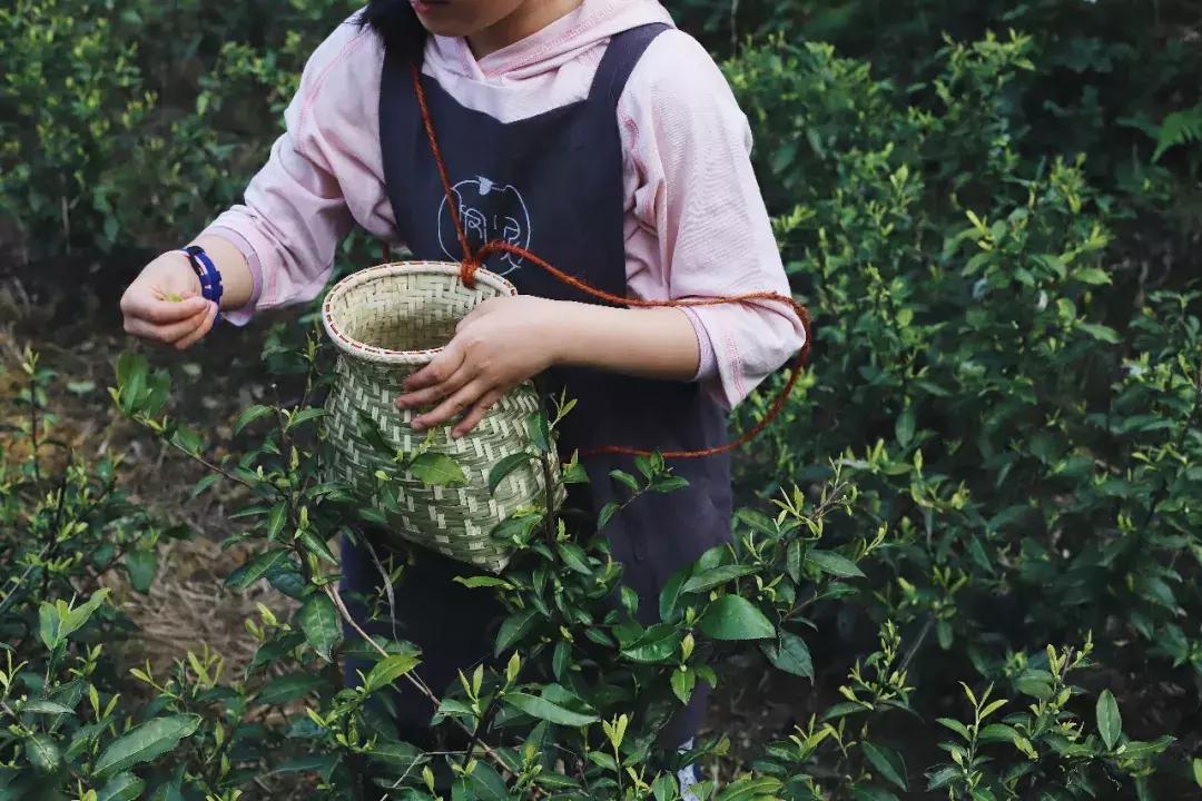 筑梦8年,承包1600亩土地,打造亲子版唐顿庄园,体验庄主生活