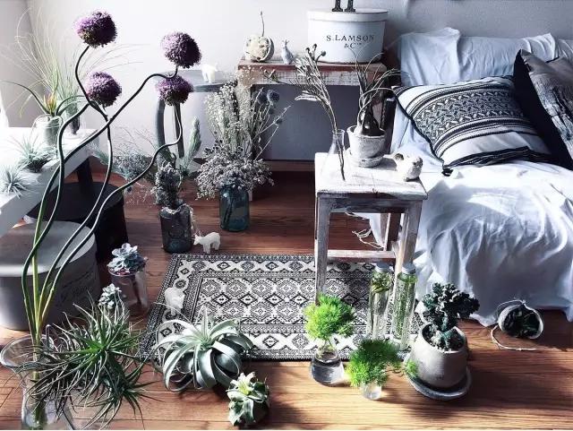 她用这种高颜值的干花装饰家里,隔壁邻居都惊叹不已