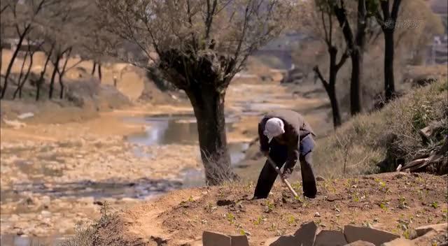 苦才是人生痛才是生活,一年的苦痛和心酸