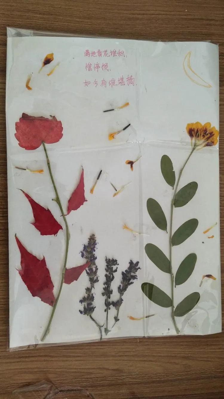 育才中学美丽校园,阜新市育才中学照片