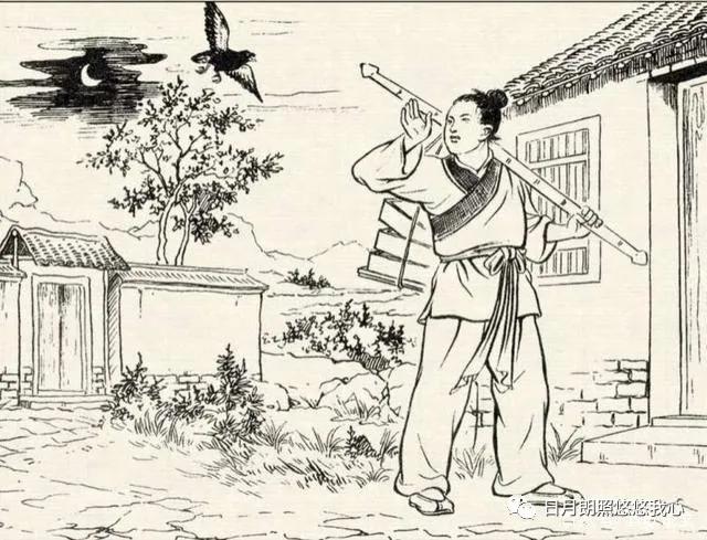 日出闻鸟声,晨起闻鸟语