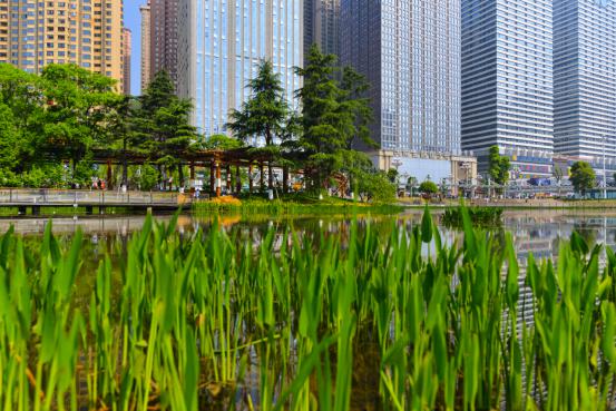 花果园森林公园,花果园生态果园