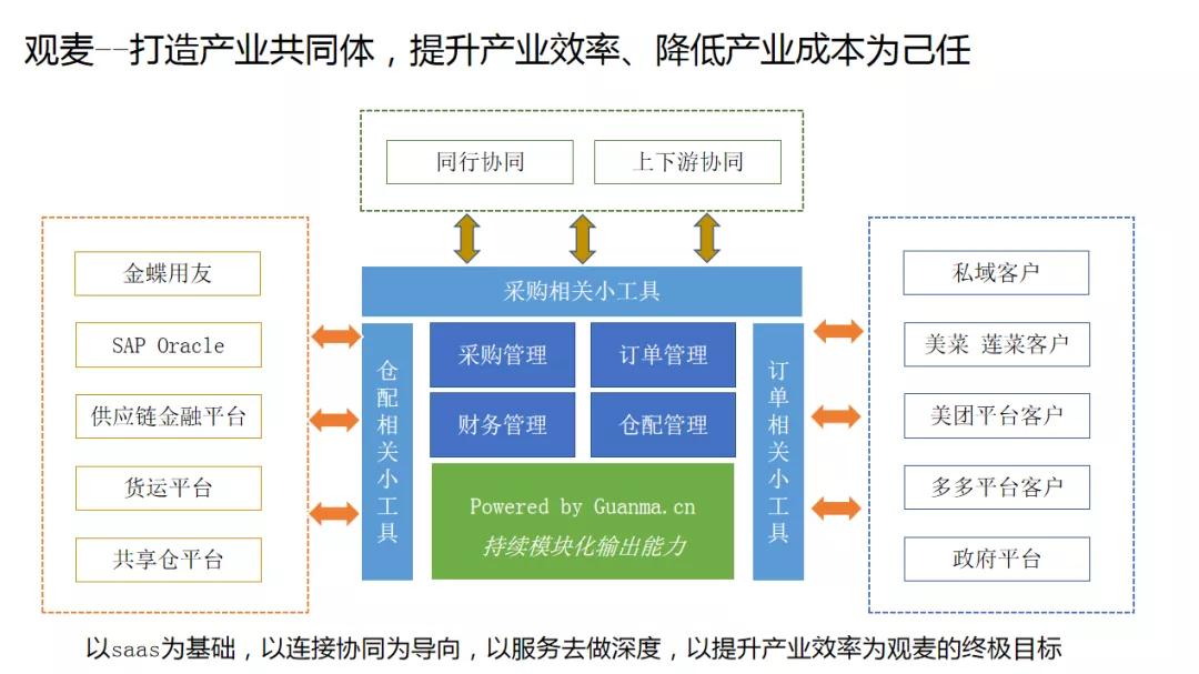 观麦杨威是哪里人,观麦董事长