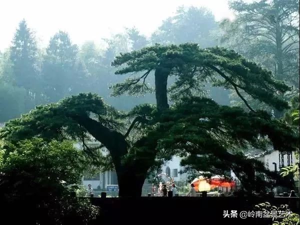 中国十大千年古寺古刹之首,中国十大千年古尸容貌复原成功