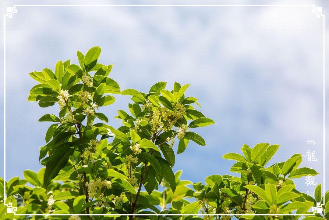 宁波龙观一分钟，浩瀚时间海，弱水一瓢饮