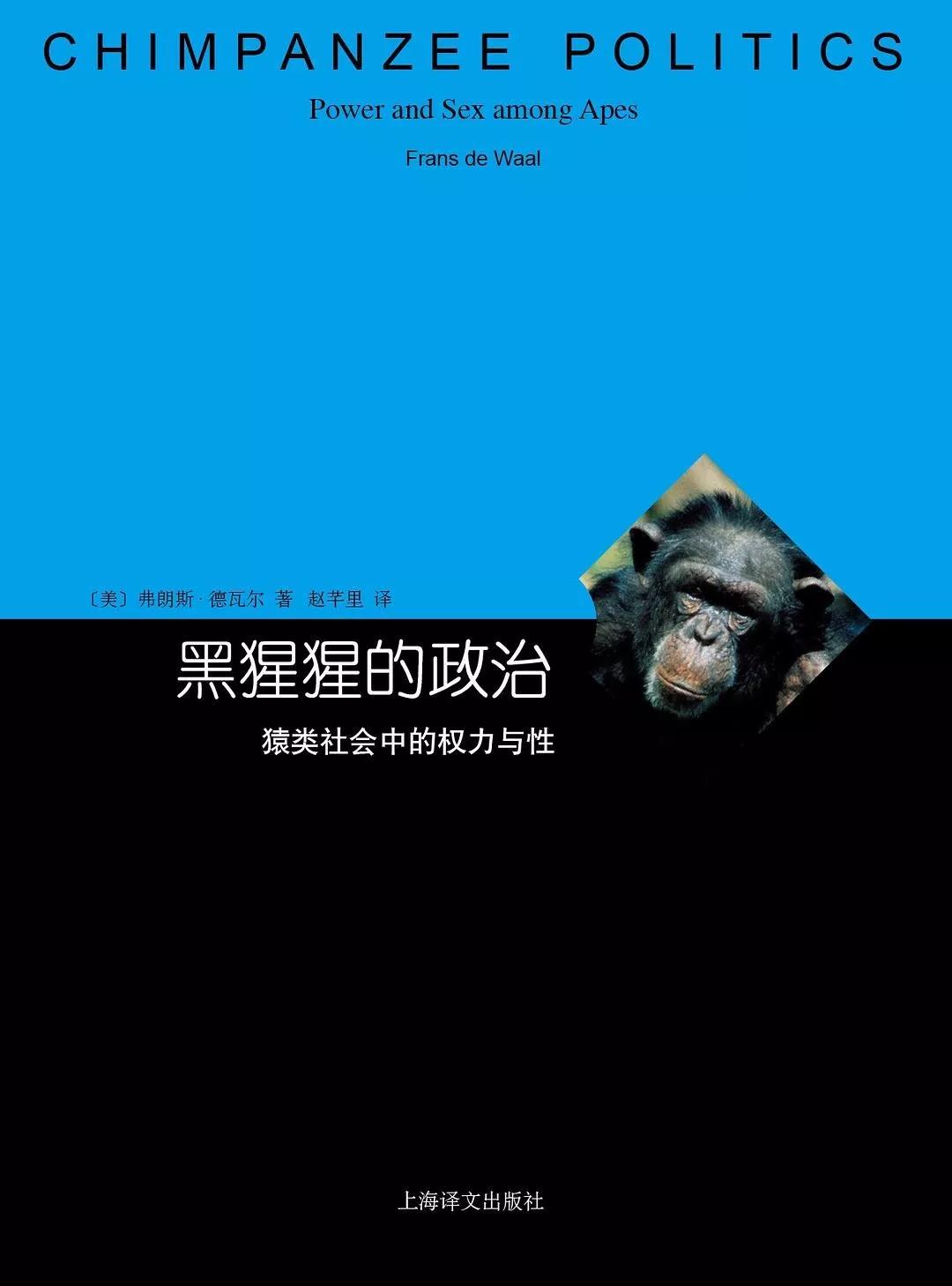 陈嘉映丨智能不是人类的专利