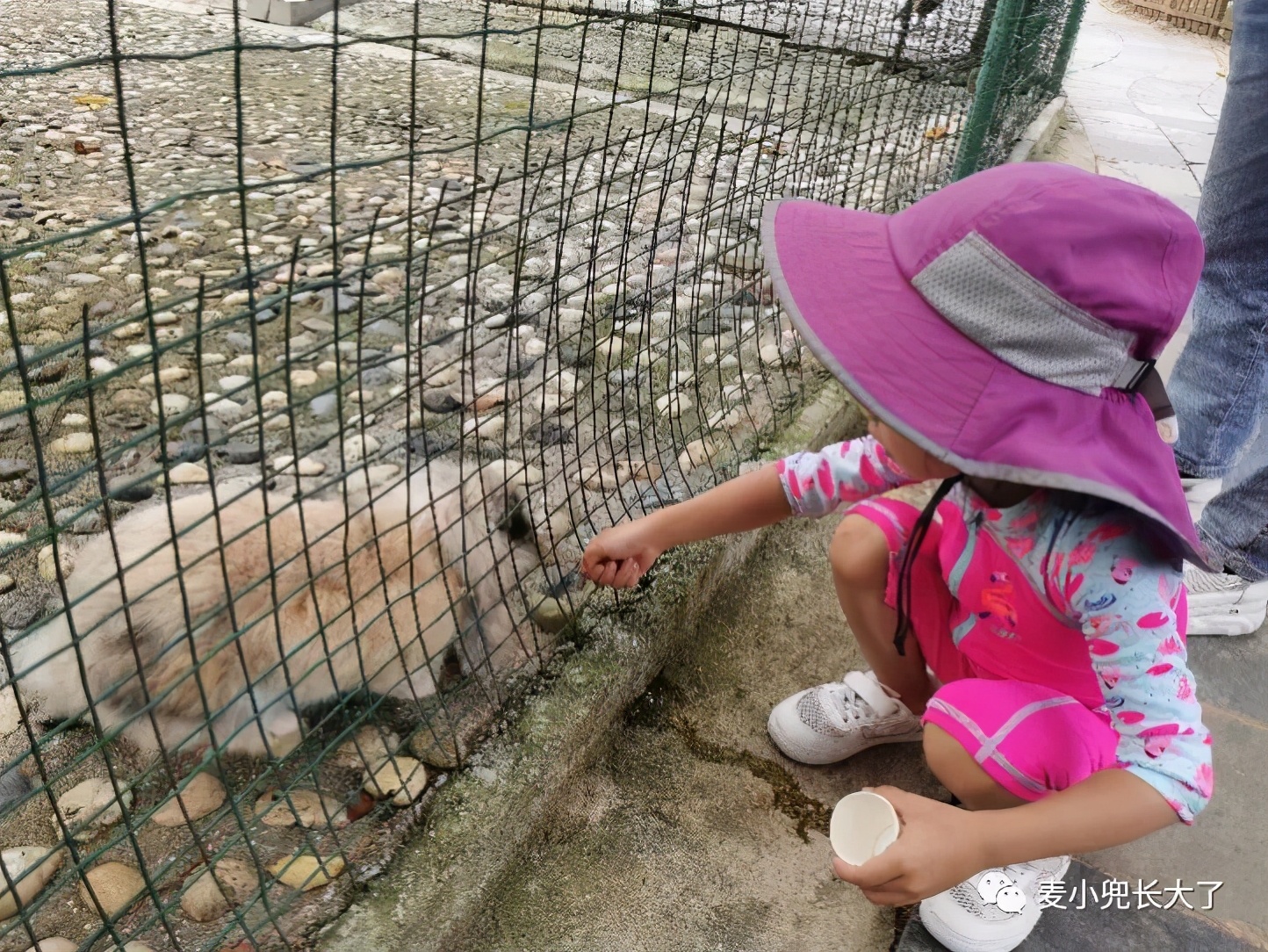 clubmed中国哪个地方好,国内clubmed滑雪