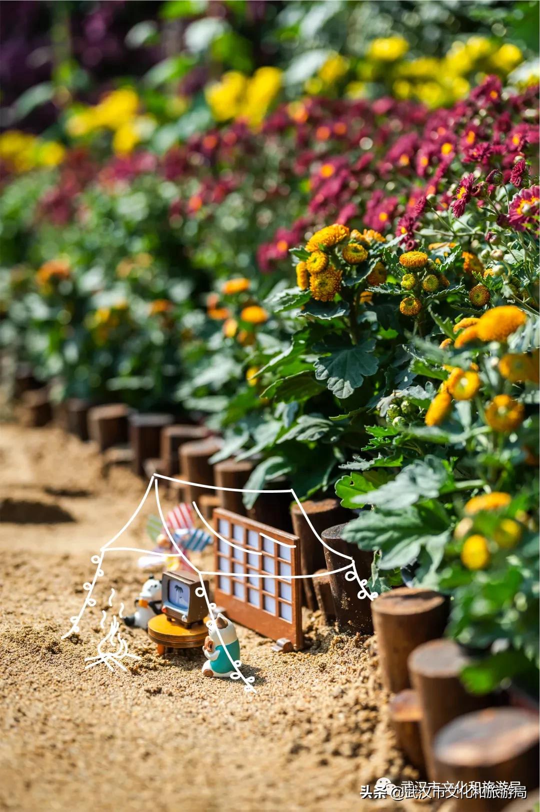 武汉秋天的第一场音乐节,武汉秋天第一场音乐节