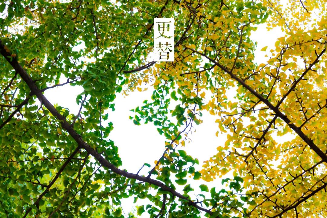 旅游三亚和厦门哪个更值得去,三亚和厦门哪个更值得去三亚旅游