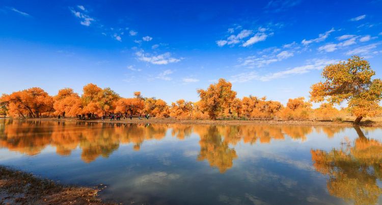 国庆七天要去哪里玩啊,国庆节七天怎么过不能出去玩