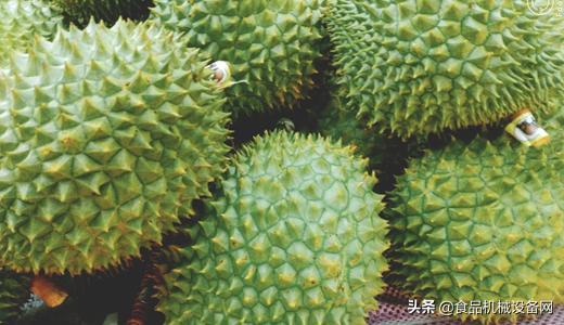 榴莲冻干机脱水,用冻干机冻干榴莲