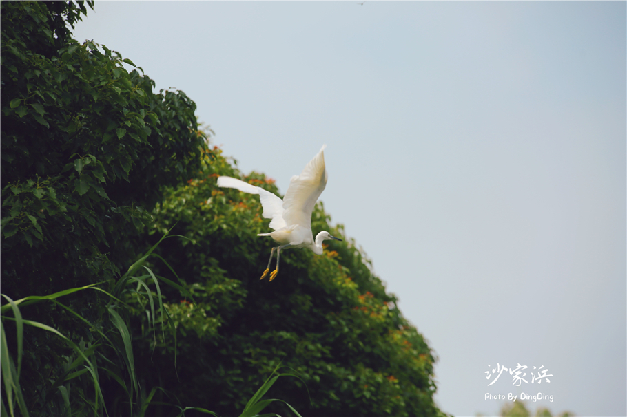 苏州红色革命旅游景点图片,苏州红色革命景点介绍视频