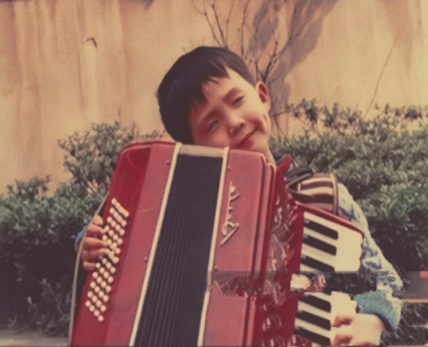 音乐王子李云迪,李云迪的瓜视频