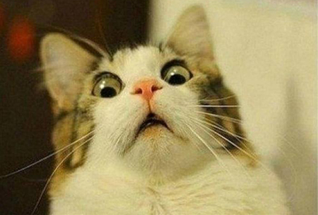 国考面试题型及答题套路,国考面试题型及答题技巧