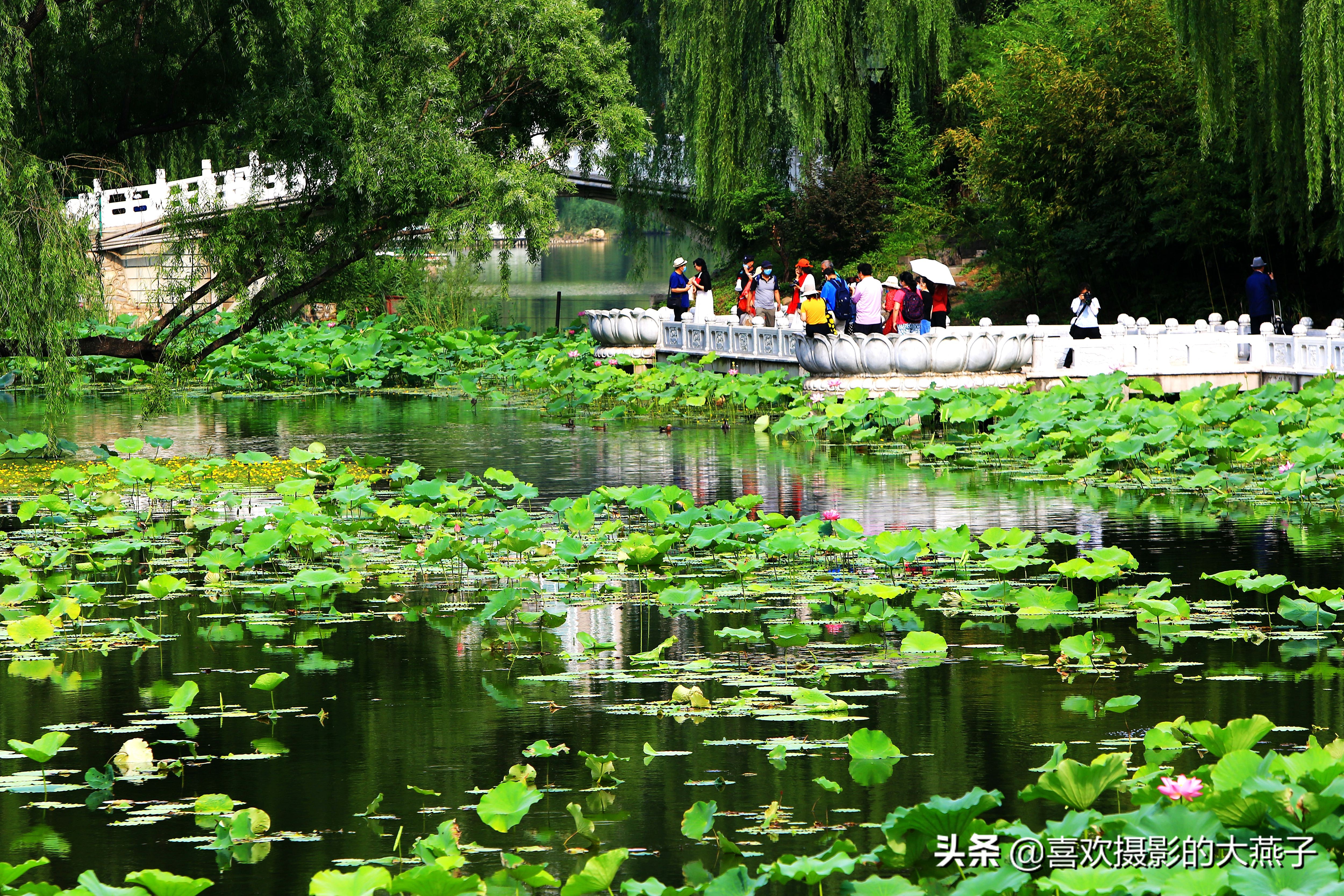 紫竹院京城景区,京城皇家御河紫竹院