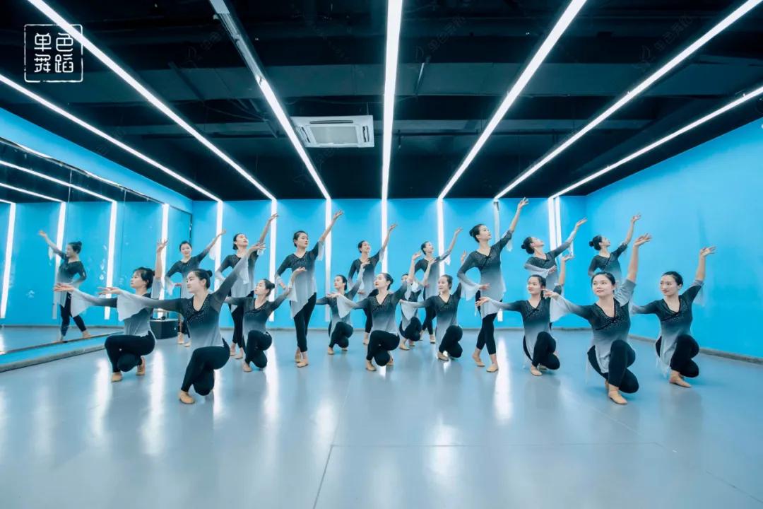 中国舞三级舞蹈基本功练习,中国舞零基础基本功训练在家练习