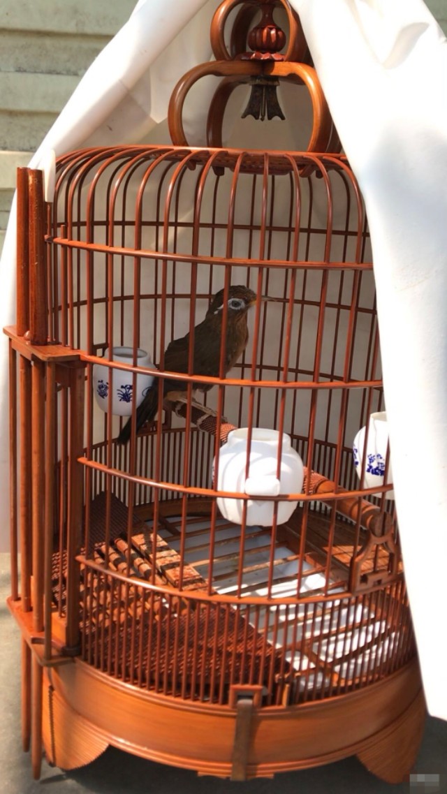 笼布的小技巧,笼布怎么使用不粘馒头