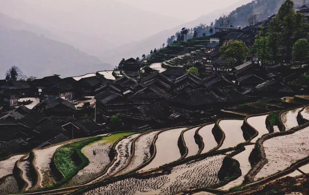 冬酿一杯酒,冬酿一壶酒