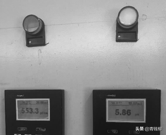 山东智慧农业发展前景,大棚桃树经济效益怎么样