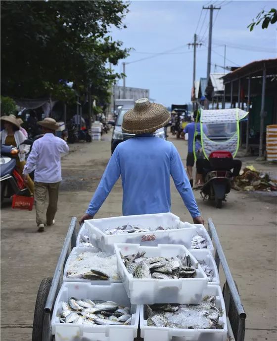 浣犲涔呮病鍘绘捣杈瑰害鍋囦簡,浣犲涔呮病鏈夊嚭闂ㄦ梾娓镐簡