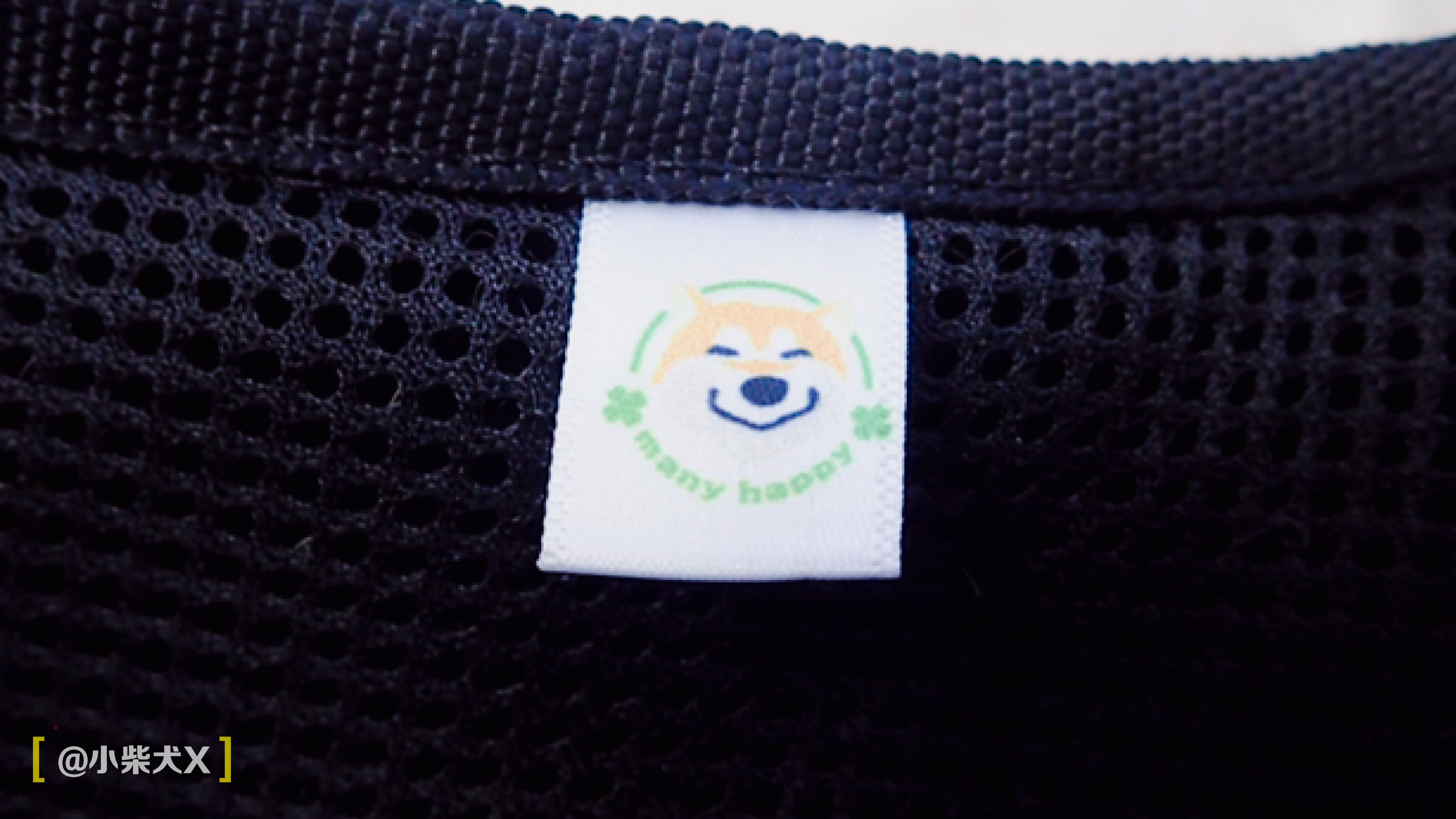 一对日本夫妇设计了最具日本传统特色的狗狗用品，太适合柴犬了