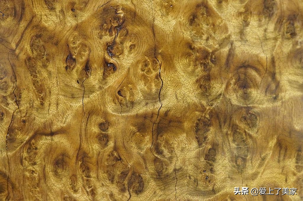 金丝楠木茶盘开裂修复教程,金丝楠木新料怎么保存不开裂