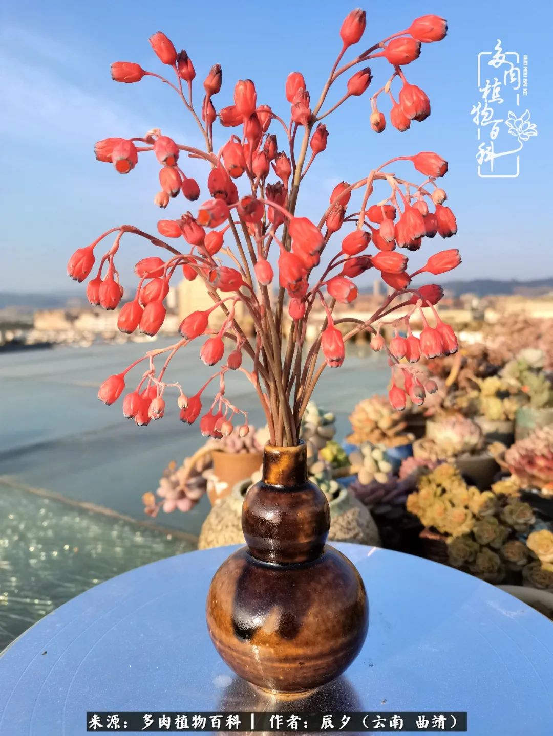 缂辩换鏃栨棊钁宠暏鐢熼,缂辩换鏃栨棊钁宠暏鐢熼鍑哄