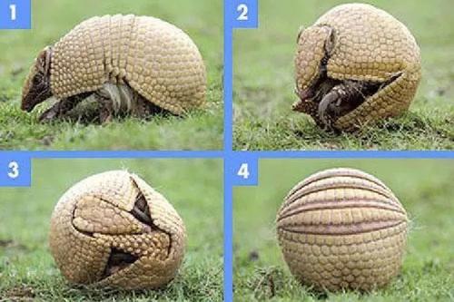 那些改变人类历史的疾病:麻风病(番外#1)