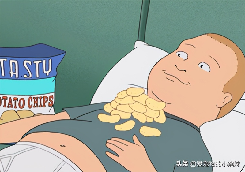 网购哈士奇当天到货,在网上购买哈士奇纯种的视频