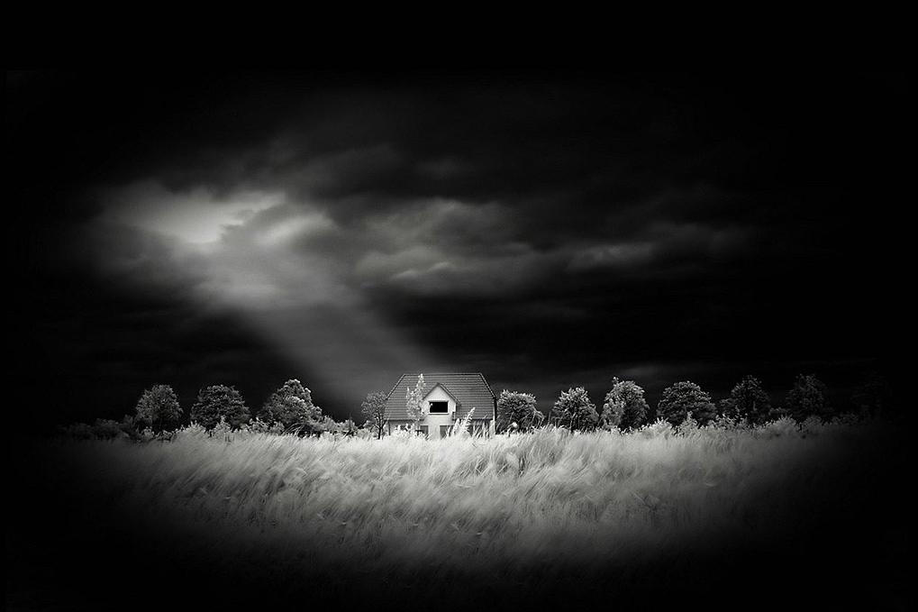 《拯救大兵瑞恩》被赞最佳影片,拯救大兵瑞恩梗