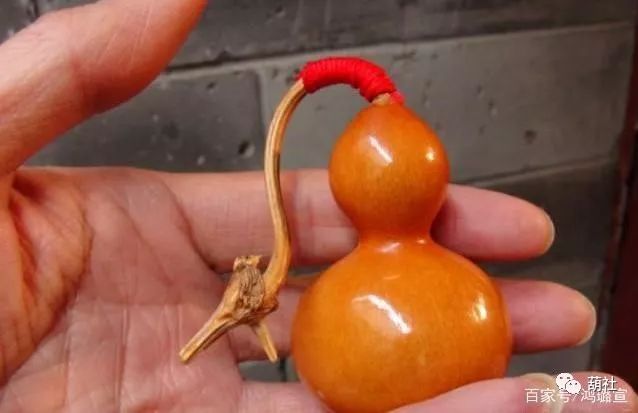 文玩葫芦没有龙头怎么办,文玩葫芦没有龙头装什么好看