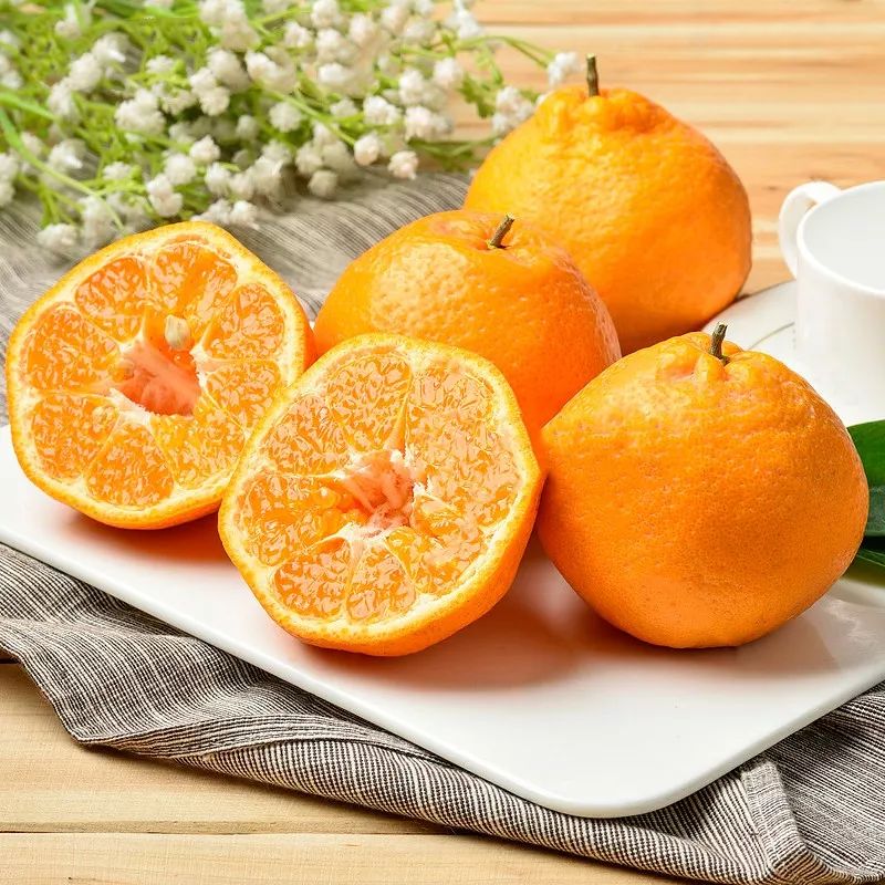 那些被人误解的耙耙柑,不知火丑柑与耙耙柑的区别