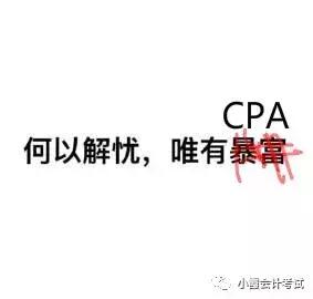 注会女侠：真的猛士敢于直面“惨淡”的人生