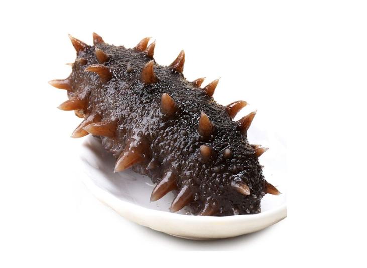 养殖海参和野生海参有区别吗,养殖海参和野生海参怎么区别