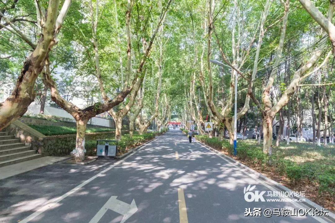 在这条平凡之路,解锁一个老马鞍山人