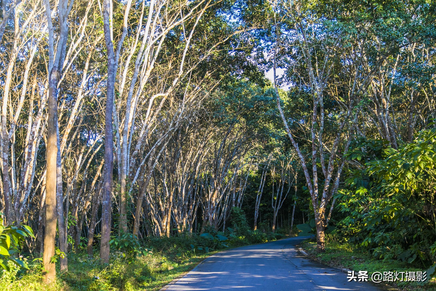 云南有多少5a级景区,云南省有多少个5a景区