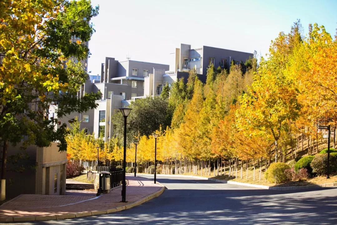 辽宁省民办大学（二）大连东软信息学院