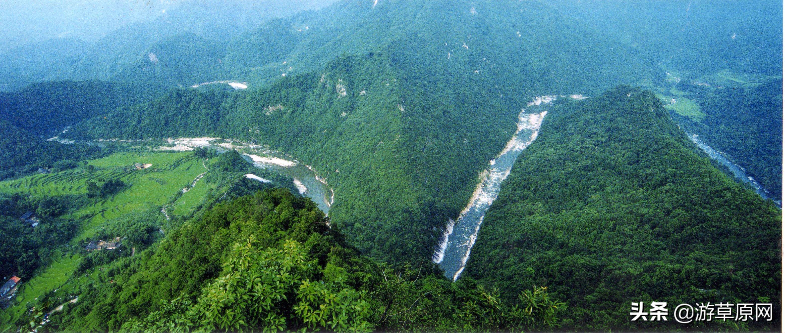 辽宁动物园野生动物,辽宁省动物园