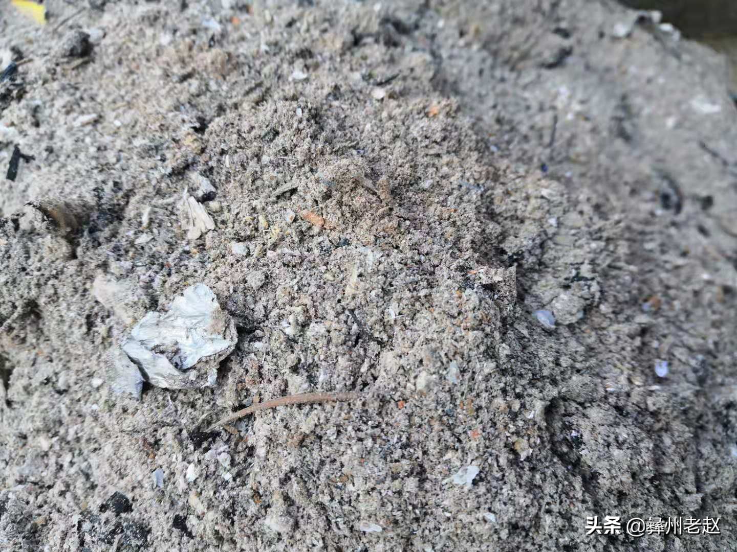 露天种植番茄如何预防霜冻,如何防止果树受冻